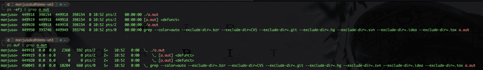 Daemon Process Output2