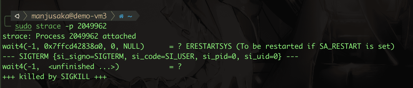 Trace Result of Process 2049962
