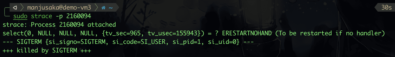 strace 2160094
