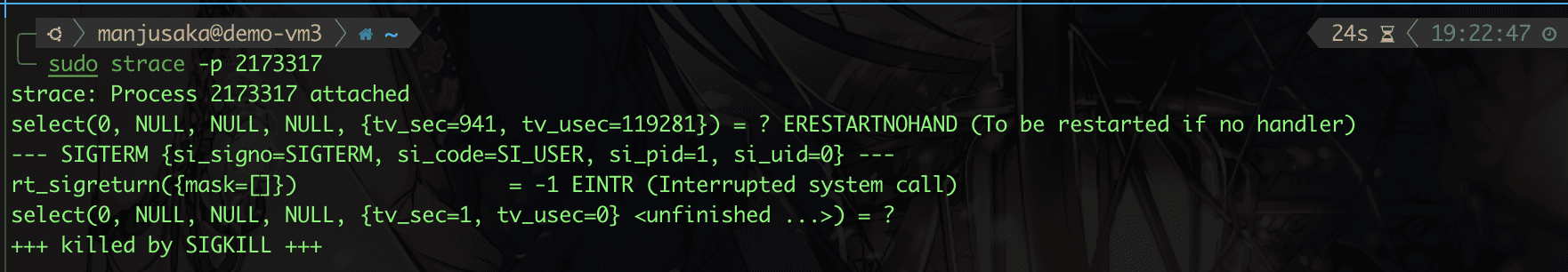 strace 2173317